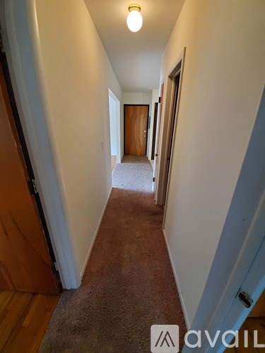 A hallway with a carpeted floor and a light on the ceiling.