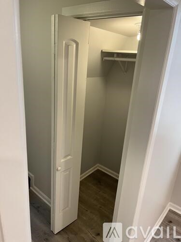A white door is open to a small closet.