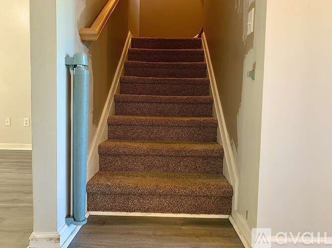 A staircase with a carpeted runner and wooden steps.