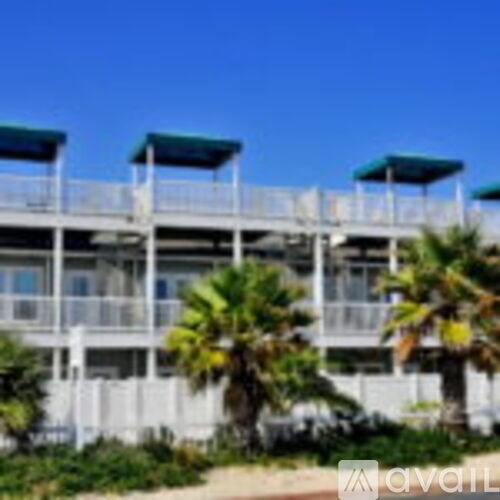 A row of palm trees in front of a white building with blue awnings.