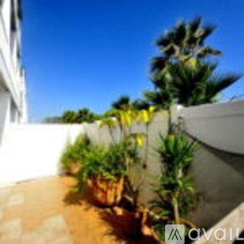A white wall with a planter on top of it.