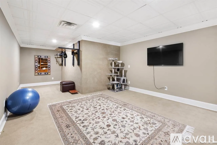 A spacious room with a rug, a blue exercise ball, and a television.
