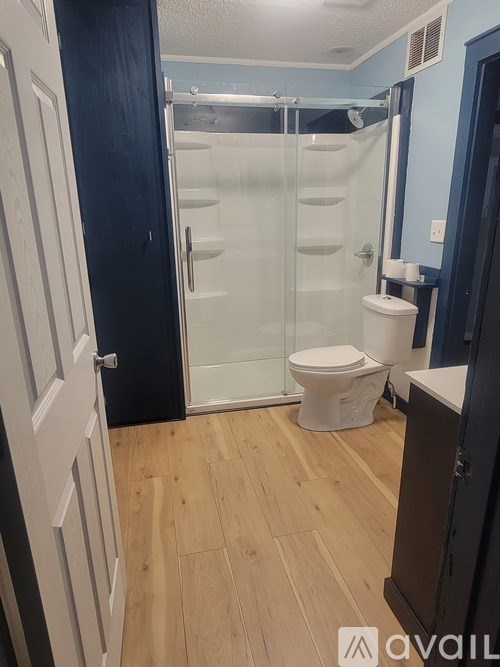 A bathroom with a toilet, sink, and walk-in shower.