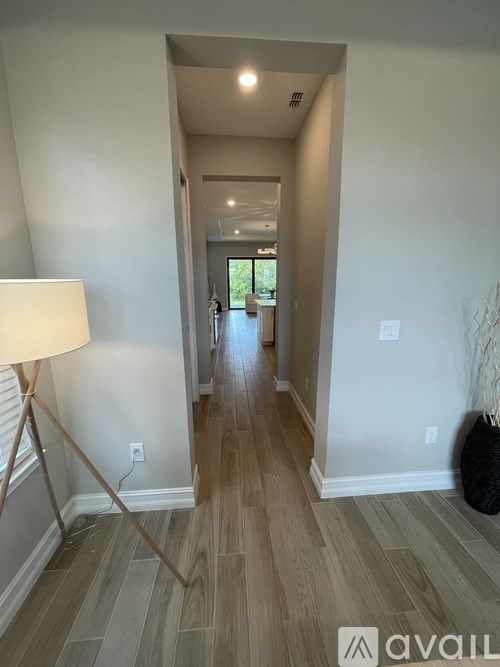 A hallway with a lamp on the left and a plant on the right.