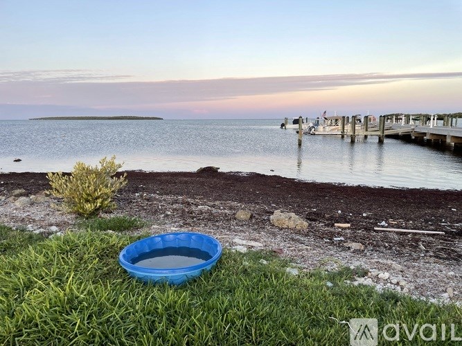 A blue bowl is placed on the grass near the water.