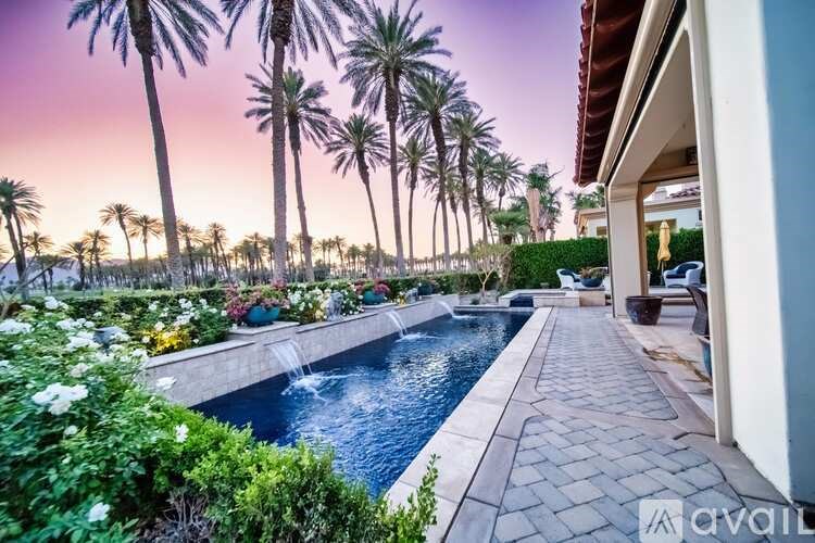 A pool surrounded by palm trees and plants.