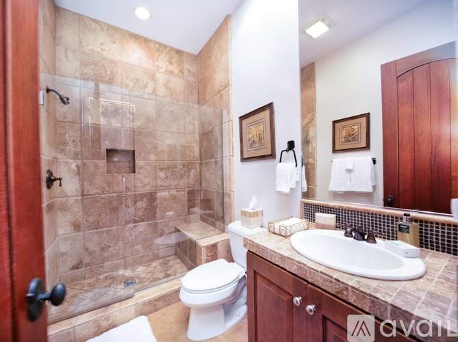 A bathroom with a tiled shower and a toilet.