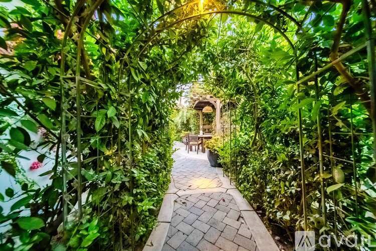 A pathway is surrounded by green plants and trees.