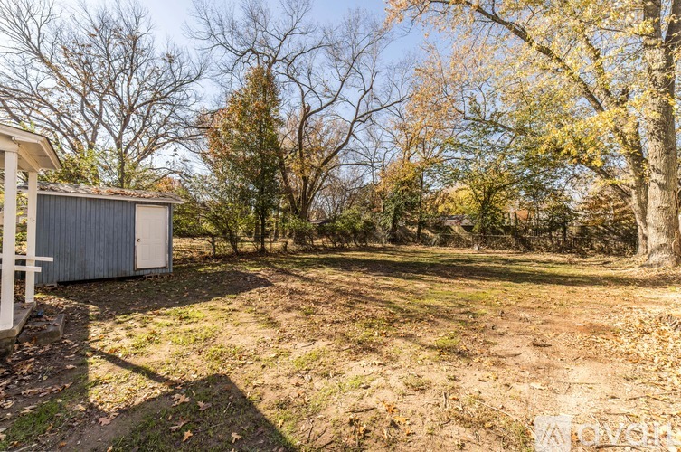 A backyard with a shed and trees.