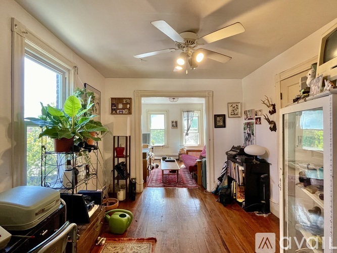 A living room with a green plant on the table.