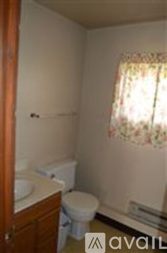 A small bathroom with a toilet, sink and a window with curtains.