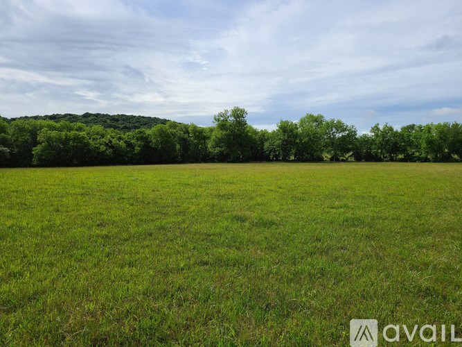 A grassy field with trees in the distance under a blue sky with clouds.