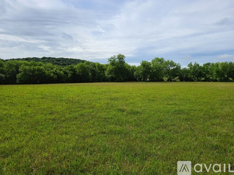 A grassy field with trees in the distance under a blue sky with clouds.