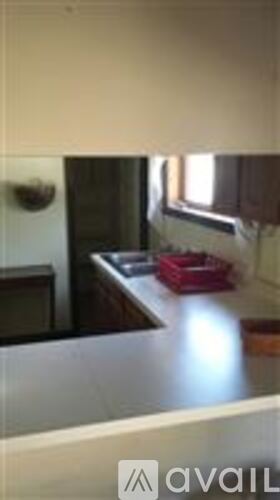 A kitchen with a counter and a sink.