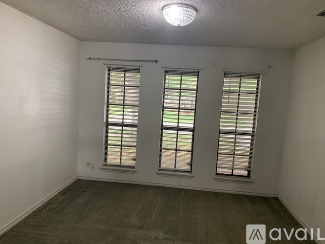 A room with two windows and a carpeted floor.