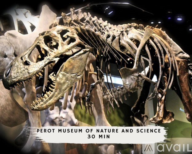 A dinosaur skeleton is displayed in the Perot Museum of Nature and Science.
