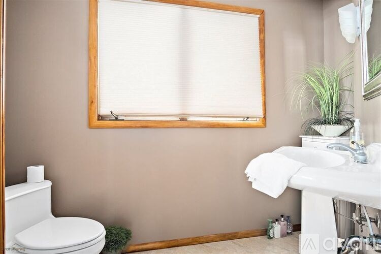 A bathroom with a toilet, sink, and a window.