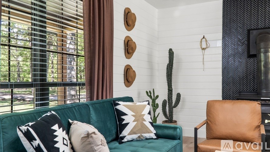 A living room with a green couch, a brown chair, and a cactus.
