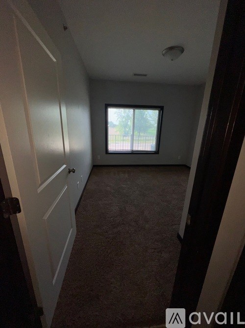 A room with a carpeted floor and a window showing a view of a tree-lined street.