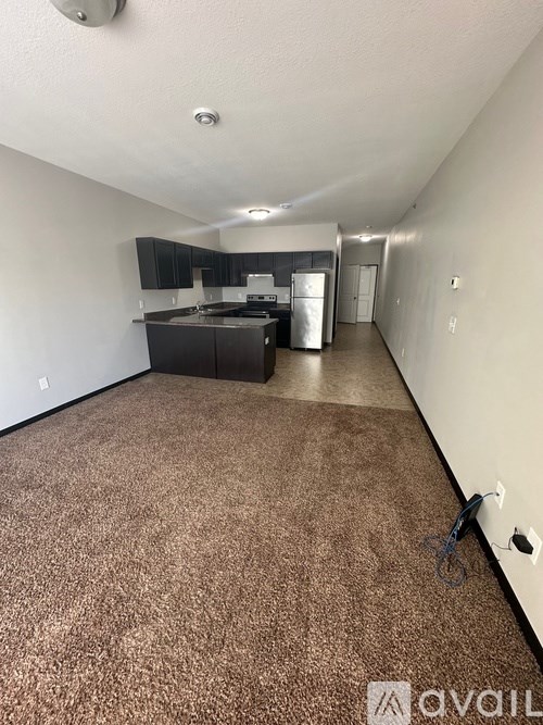 A carpeted room with a kitchen area in the background.