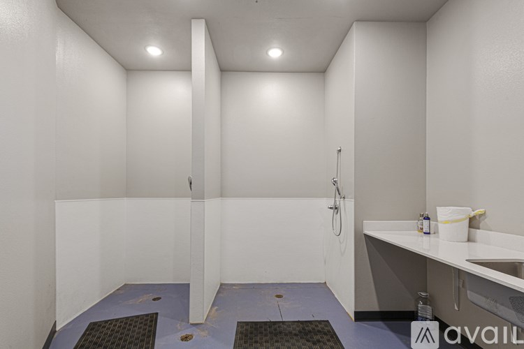 A bathroom with a white sink and a white shower stall.