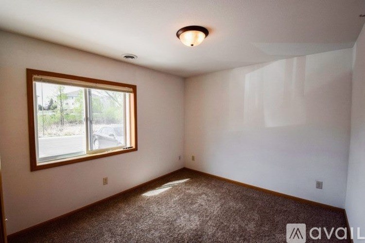 A room with a carpeted floor, a window, and a ceiling light fixture.