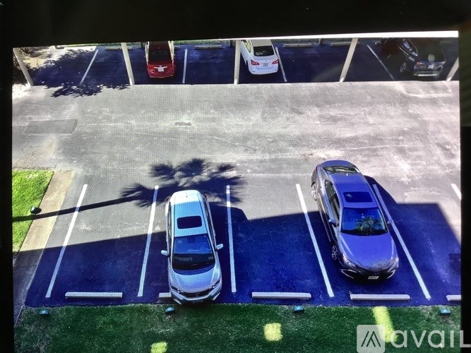 A parking lot with a white car and a blue car parked in the spaces.