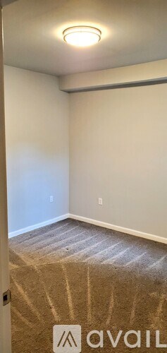 A room with a carpeted floor and a ceiling light.