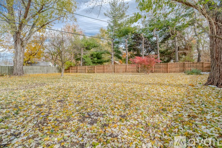 A backyard with a fence and trees.