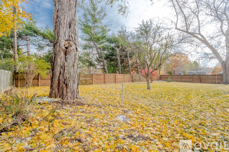 A backyard with a fence and trees with yellow leaves.
