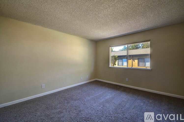 A room with a carpeted floor and a window showing a building outside.