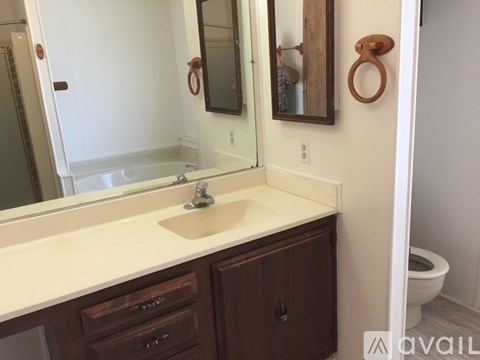 A bathroom with a sink, mirror, and toilet.