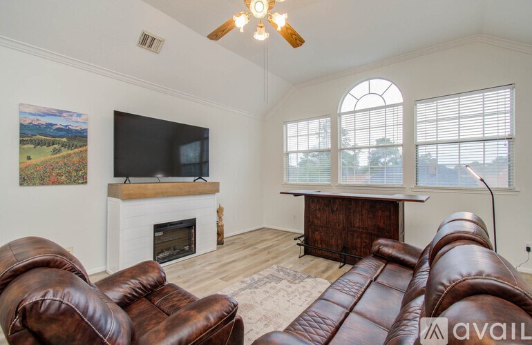 A living room with a fireplace and a television.