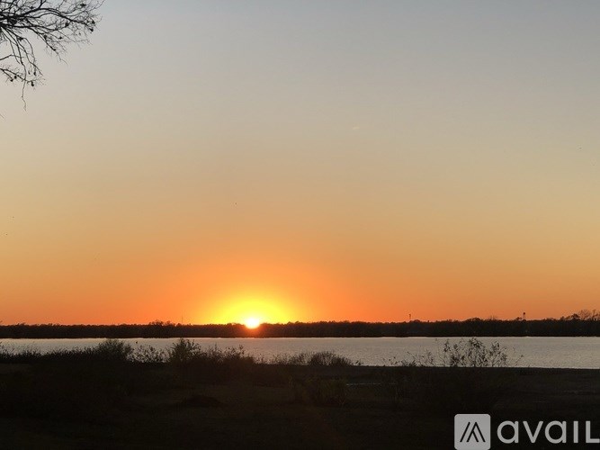 The sun is setting over a body of water with some vegetation in the foreground.