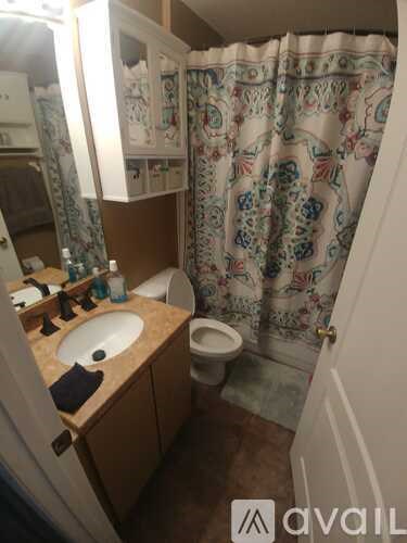 A bathroom with a sink, toilet and shower curtain.