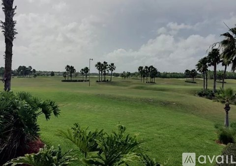 A grassy field with palm trees and a cloudy sky.