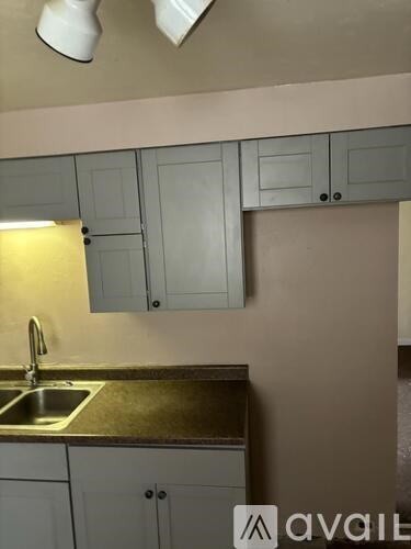 A kitchen with a sink and cabinets.