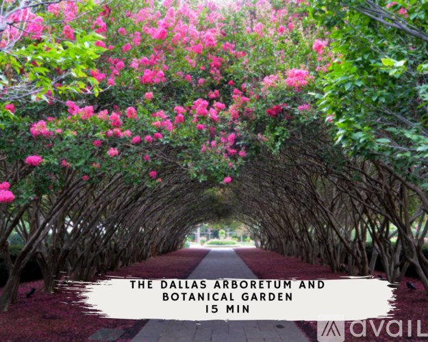 A tunnel of pink flowers leads the way to the Dallas Arboretum and Botanical Garden.