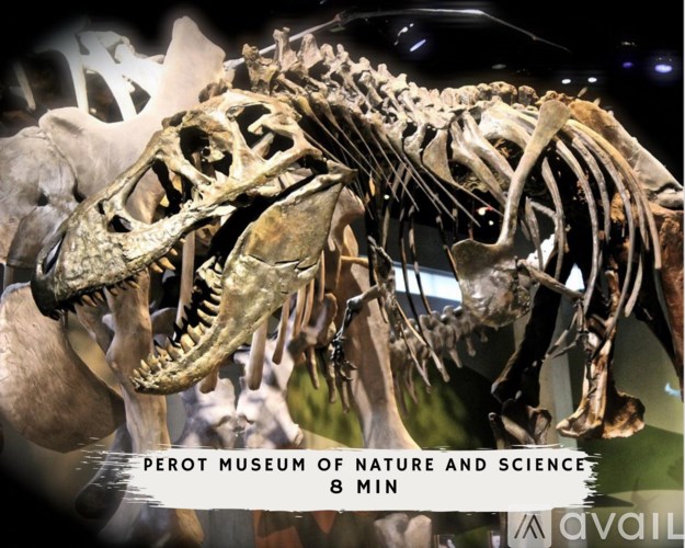 A dinosaur skeleton is on display at the Perot Museum of Nature and Science.