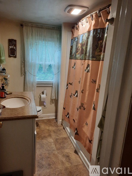 A bathroom with a sink, toilet, and shower curtain.