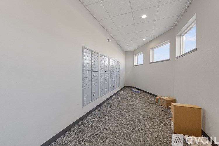 A room with a carpeted floor, a white wall, and a row of windows.