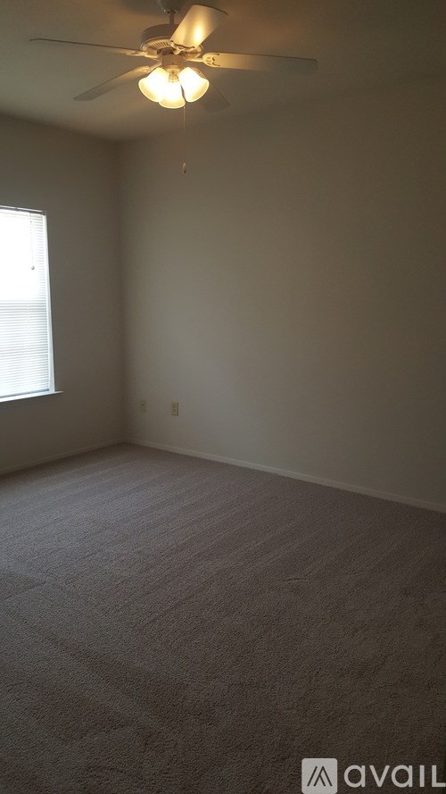 A room with a ceiling fan and carpeted floor.