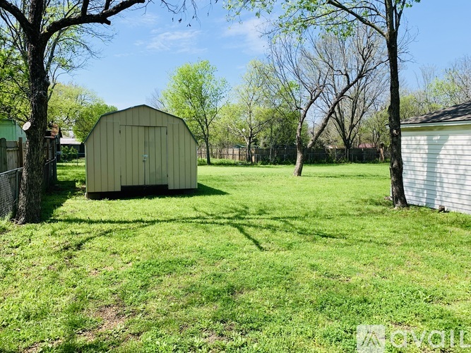 A green shed sits in a grassy yard.