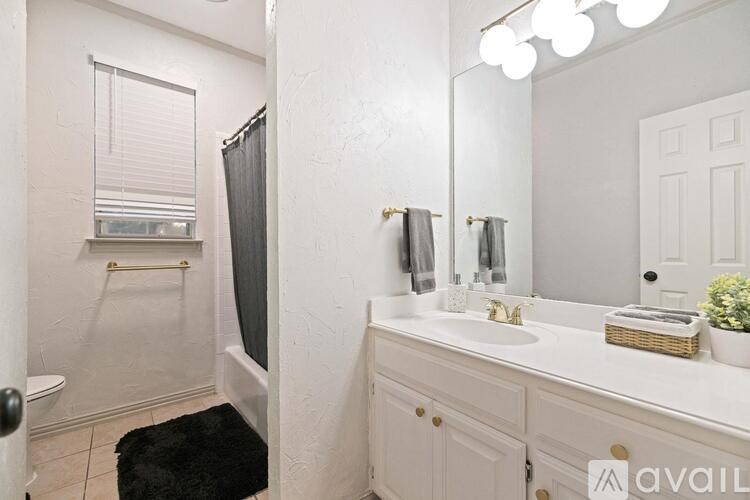 A bathroom with a white sink, mirror, and a black rug.