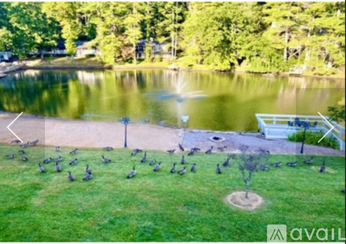 A flock of birds are on a lawn by a lake.