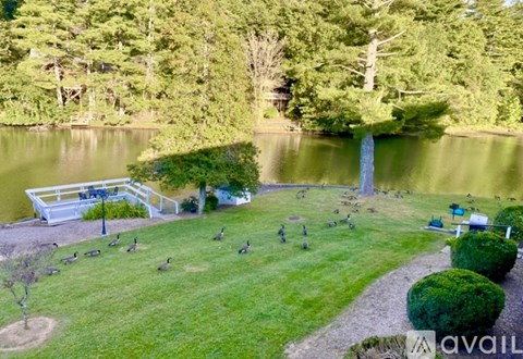 1150 W Blue Ridge Rd 1 Bed Apartment for Rent