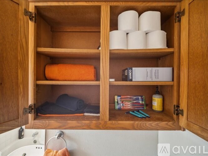 A wooden cabinet with toilet paper, a book, and a bottle on the shelf.