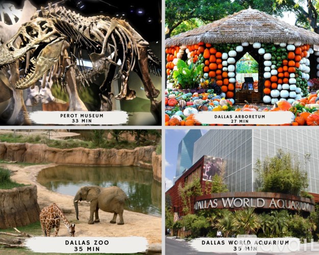 A collage of four images showing a dinosaur skeleton, a thatched-roof structure, a Dallas Zoo, and a Dallas World Aquarium.