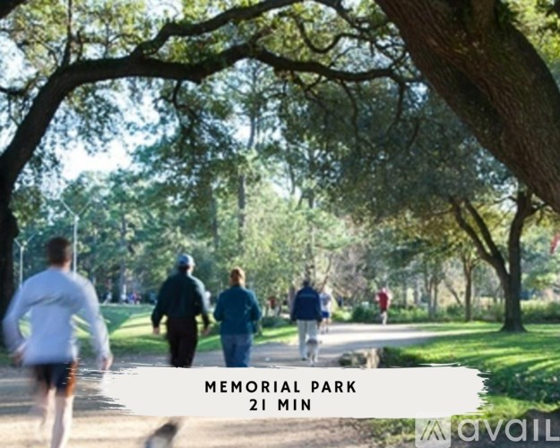 A group of people jogging in a park.