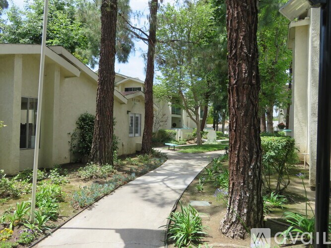 A tree in a yard with a white house in the background.